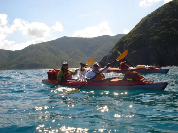 81JhD+A-NSL._AC_SL1500_ 81JhD+A-NSL._AC_SL1500_